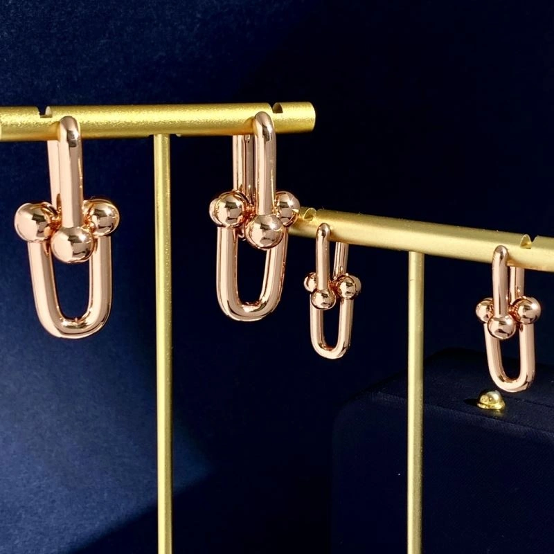 EyeCatching Tiffany Earrings 253772