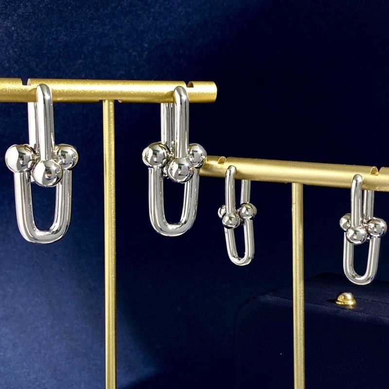 EyeCatching Tiffany Earrings 253772