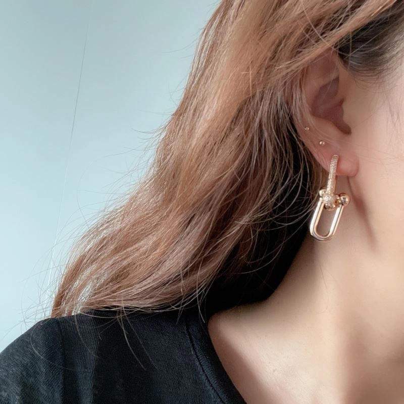 Tiffany Earrings Functional 253748