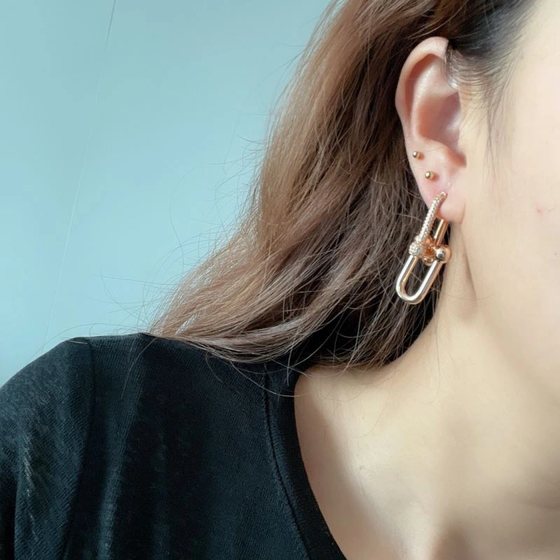 Tiffany Earrings Functional 253748