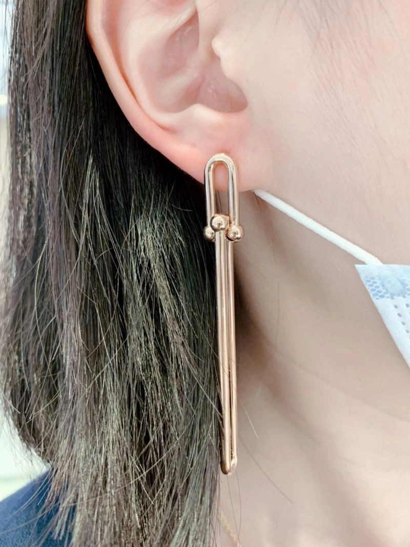 Youthful Tiffany Earrings 253643