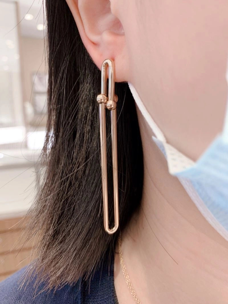 Youthful Tiffany Earrings 253643