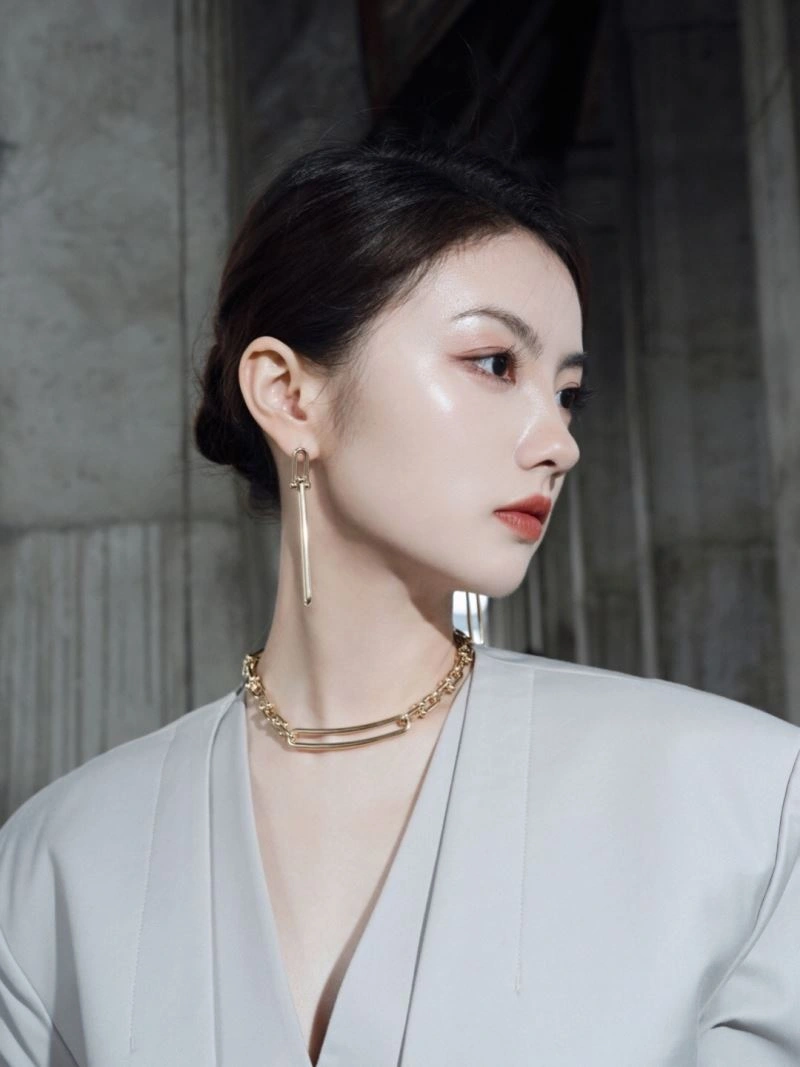 Youthful Tiffany Earrings 253643