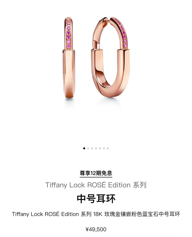 Affordable Tiffany Earrings 253619