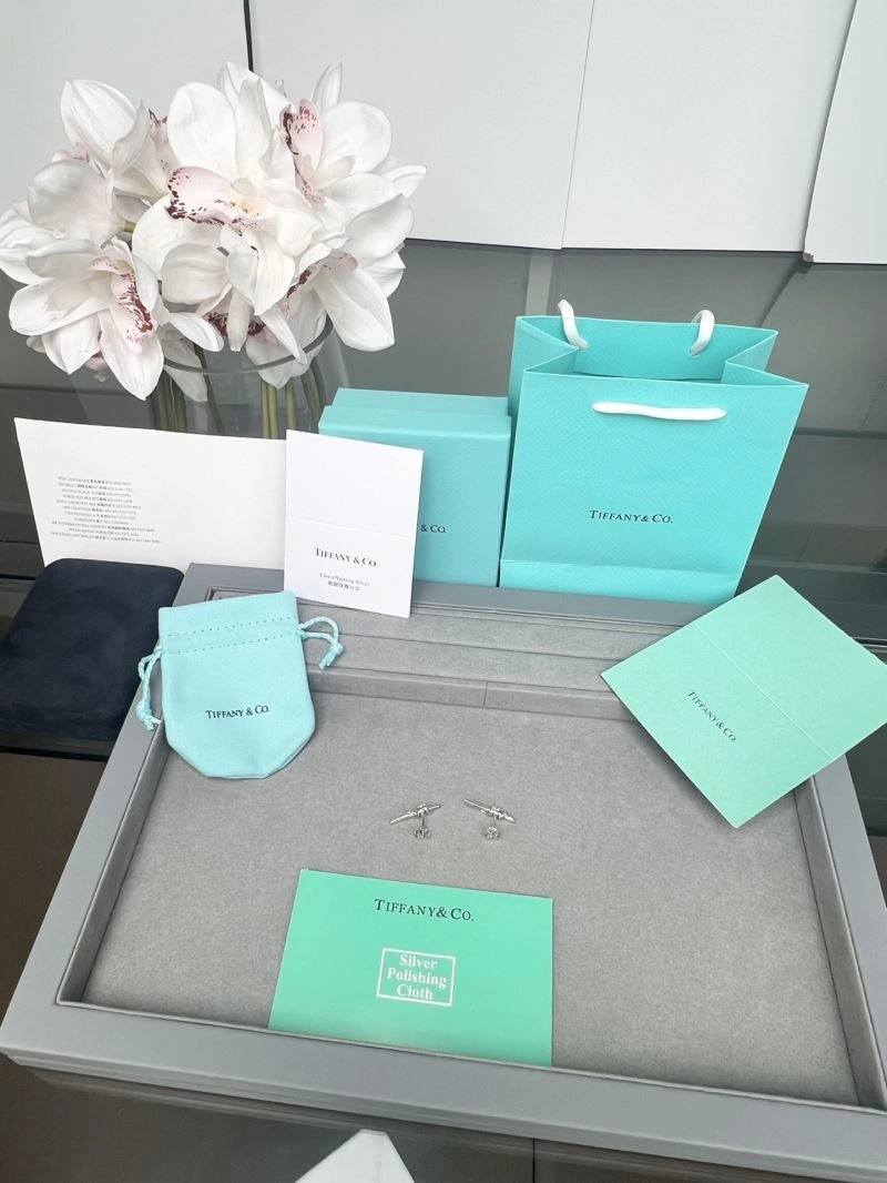Tiffany Earrings Breathable 253613