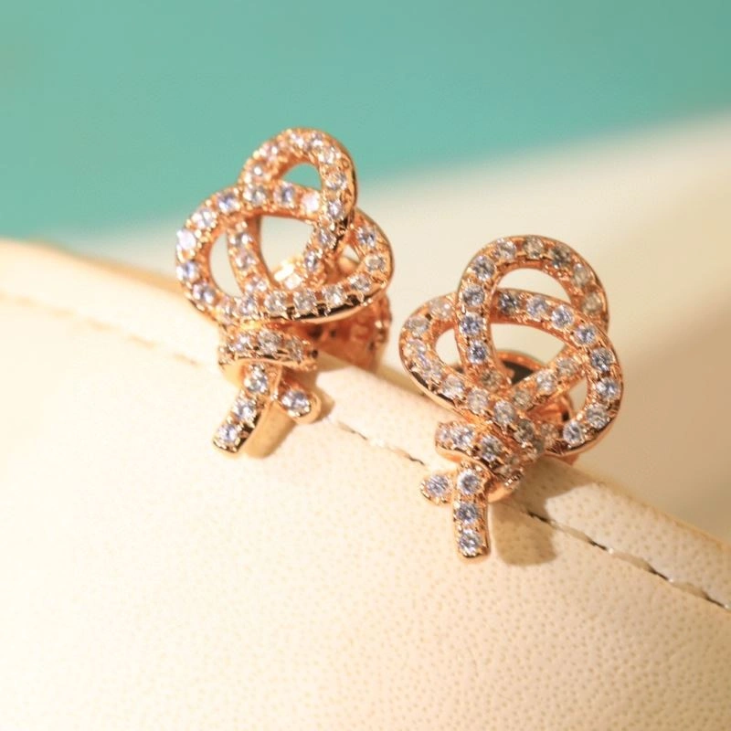 Sophisticated Tiffany Earrings 253521