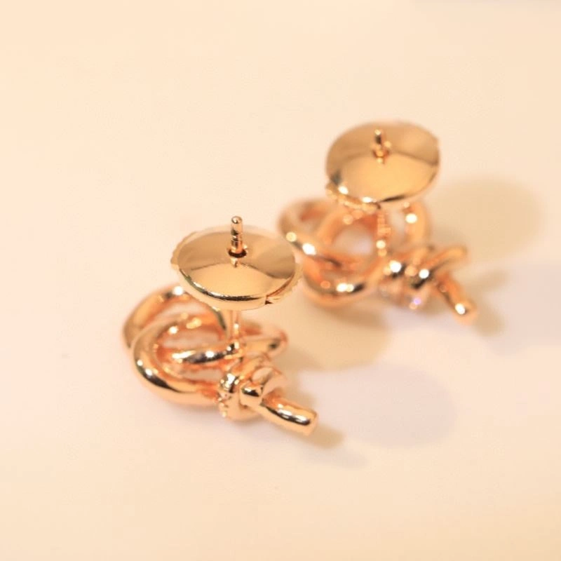 Sophisticated Tiffany Earrings 253521