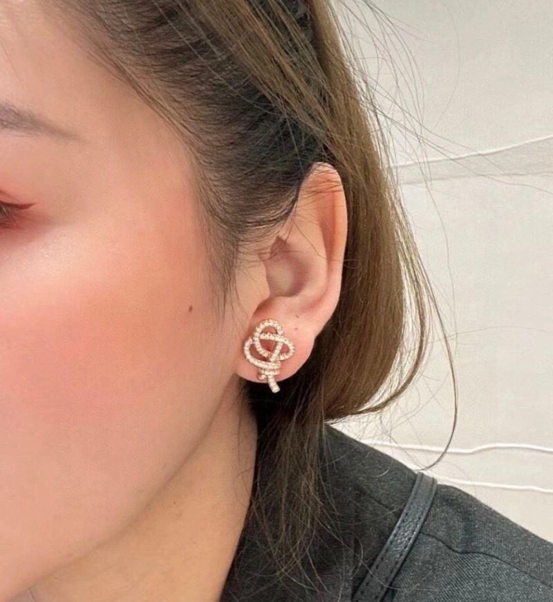Sophisticated Tiffany Earrings 253521