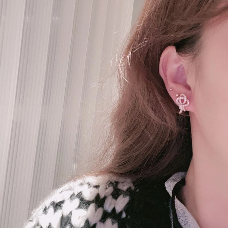 Sophisticated Tiffany Earrings 253521