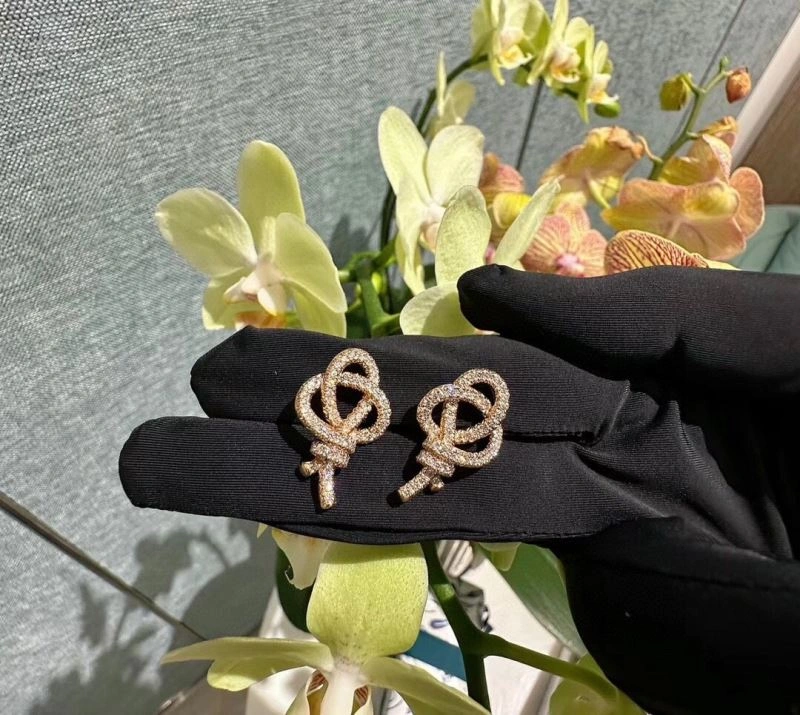 Sophisticated Tiffany Earrings 253521