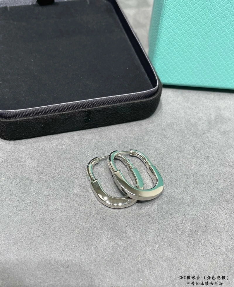 Tiffany Earrings Versatile 253514