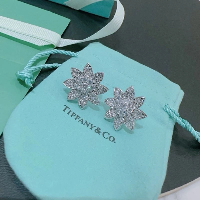 Tiffany Earrings Unisex 253500