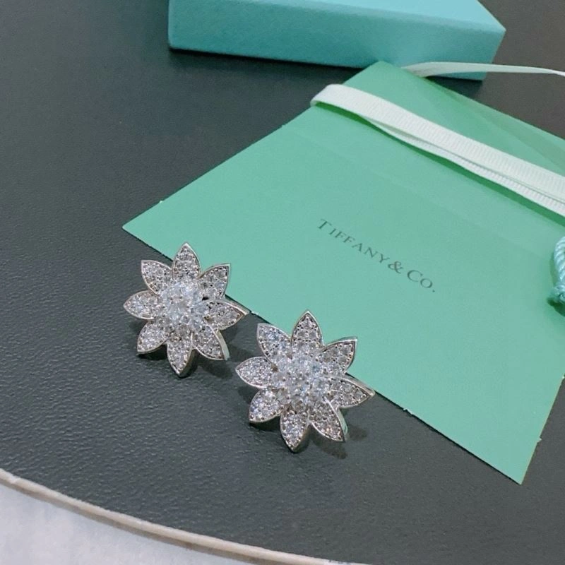 Tiffany Earrings Unisex 253500