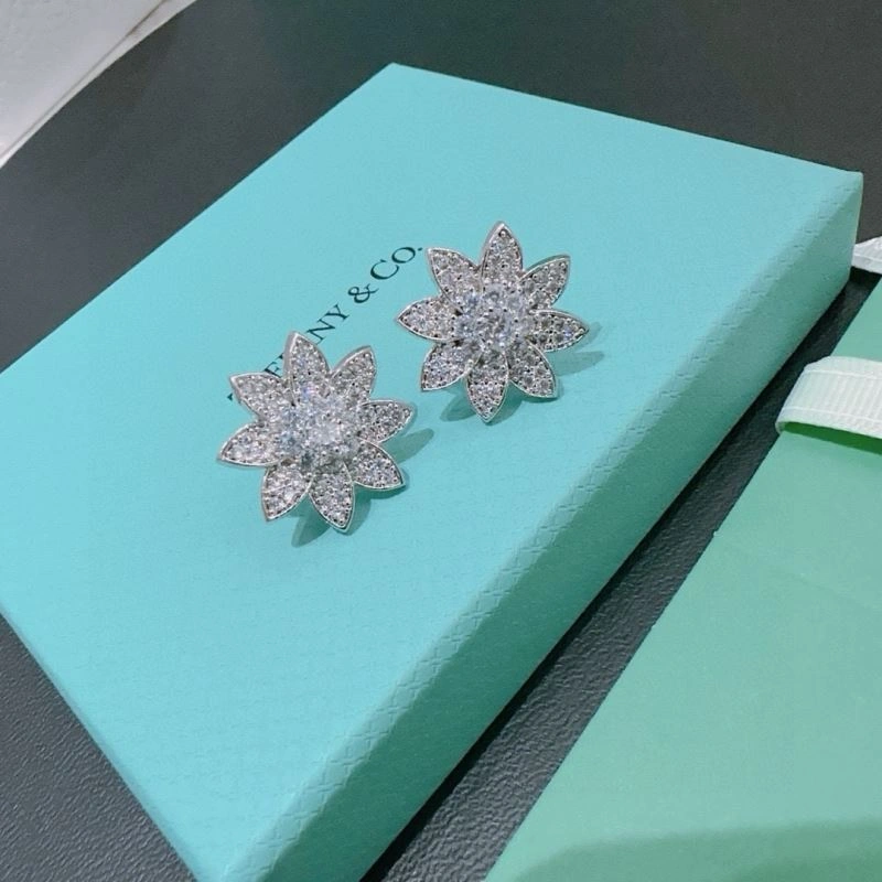 Tiffany Earrings Unisex 253500