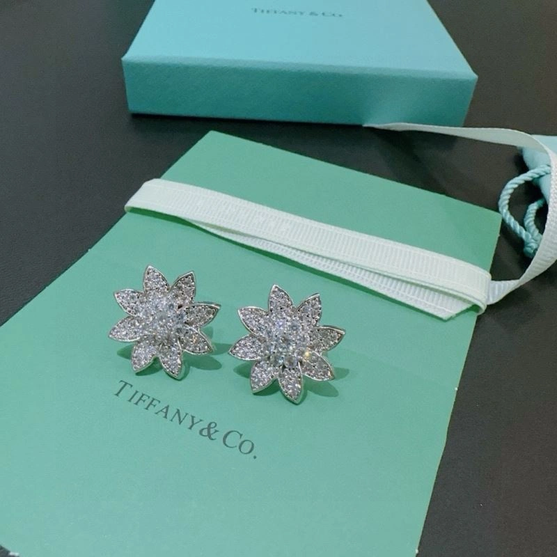 Tiffany Earrings Unisex 253500