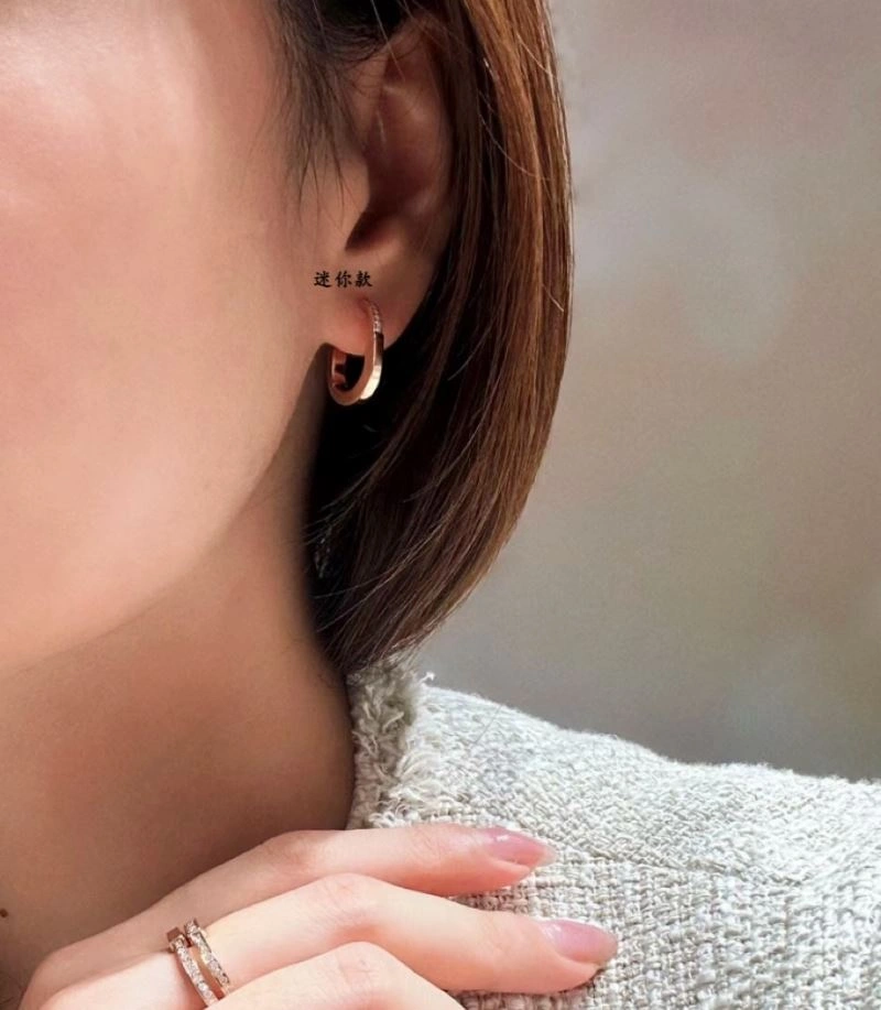 Tiffany Earrings Unisex 253506