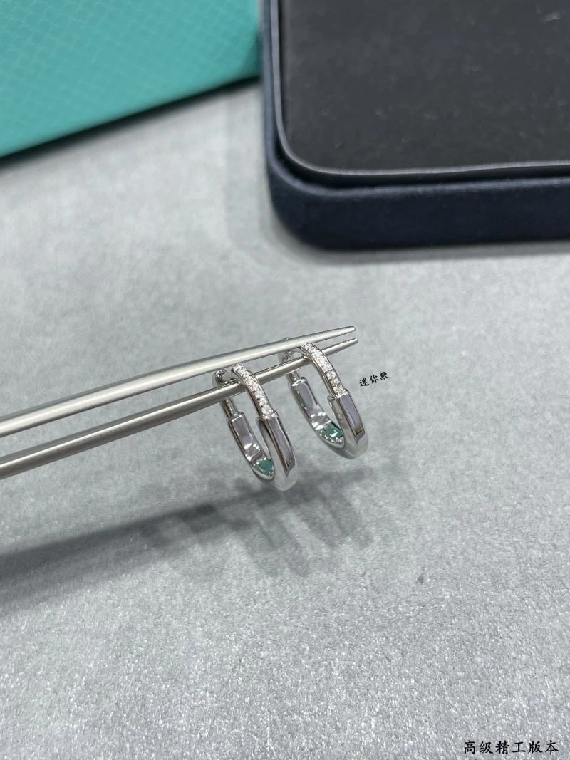 Tiffany Earrings Unisex 253506