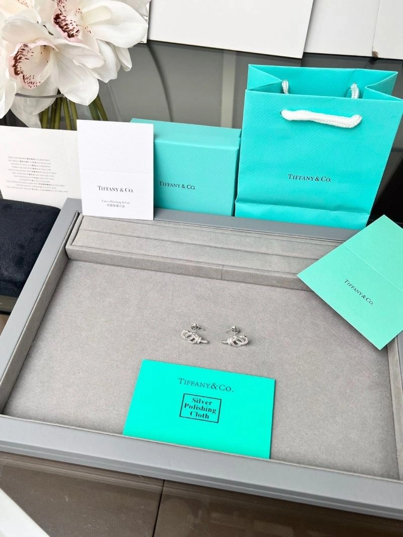 Tiffany Earrings Original 253507