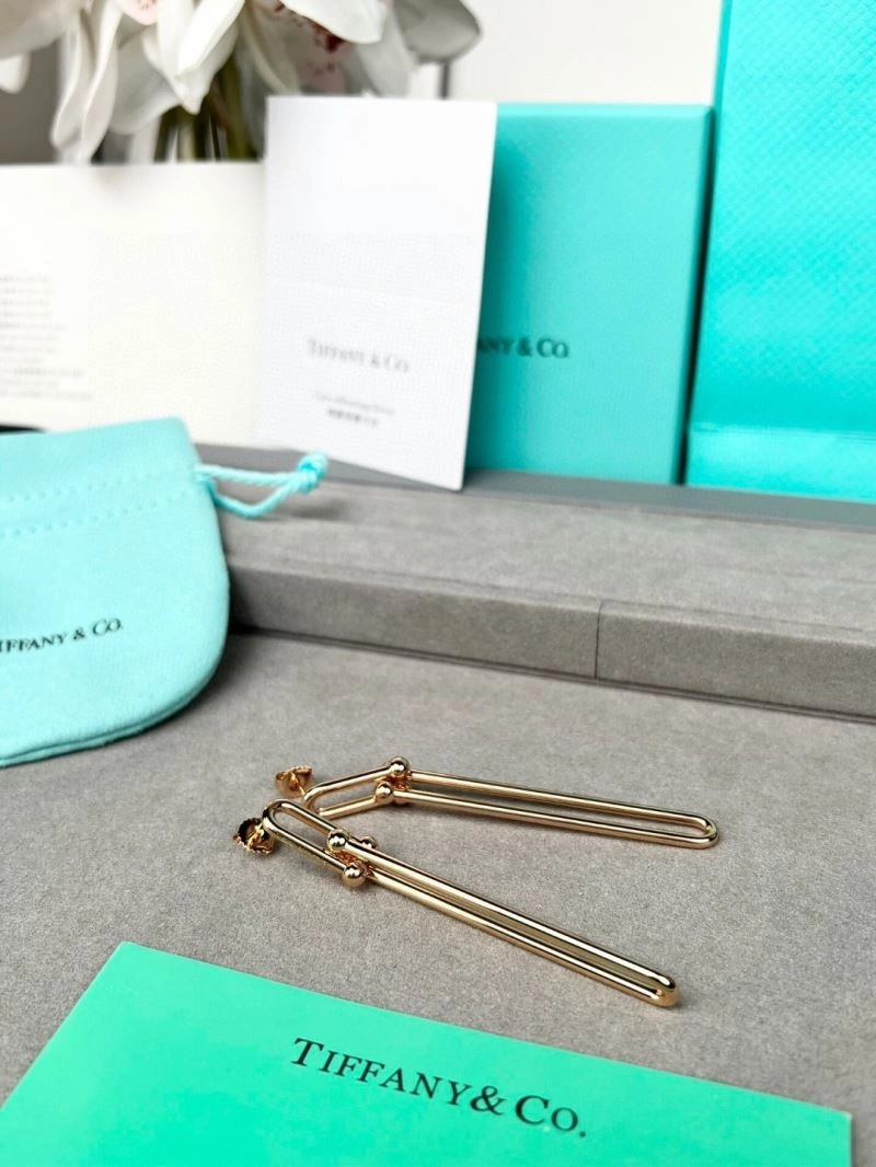 QuickDry Tiffany Earrings 253499