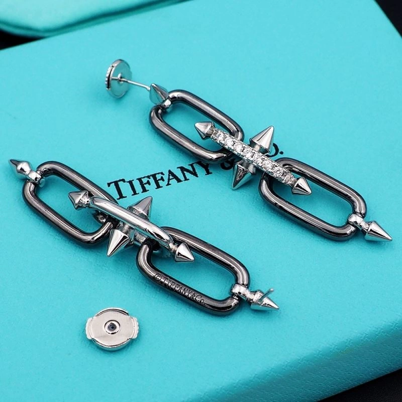 Tiffany Earrings Casual 253523