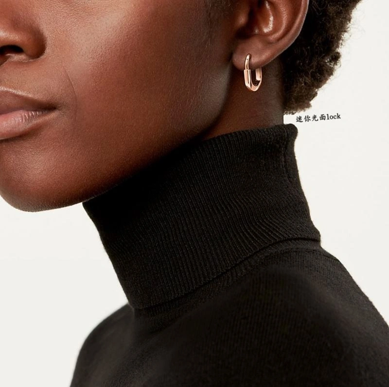 Sleek Tiffany Earrings 253512
