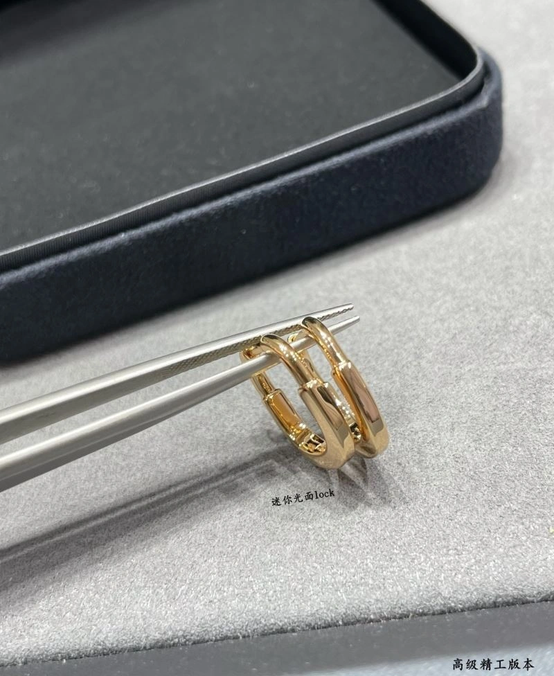 Sleek Tiffany Earrings 253512