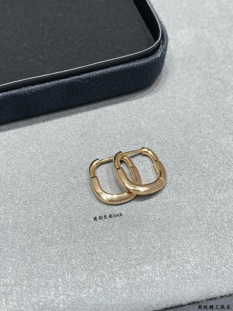 Sleek Tiffany Earrings 253512