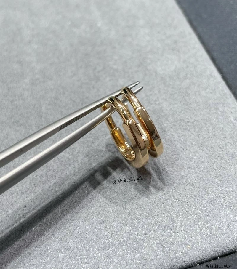 Sleek Tiffany Earrings 253512