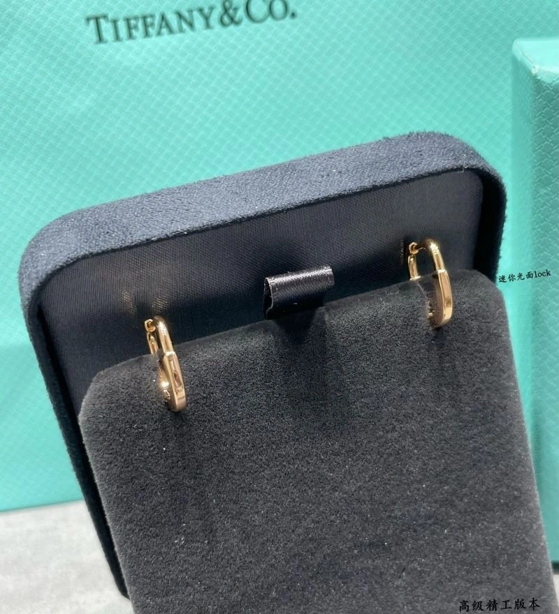 Sleek Tiffany Earrings 253512