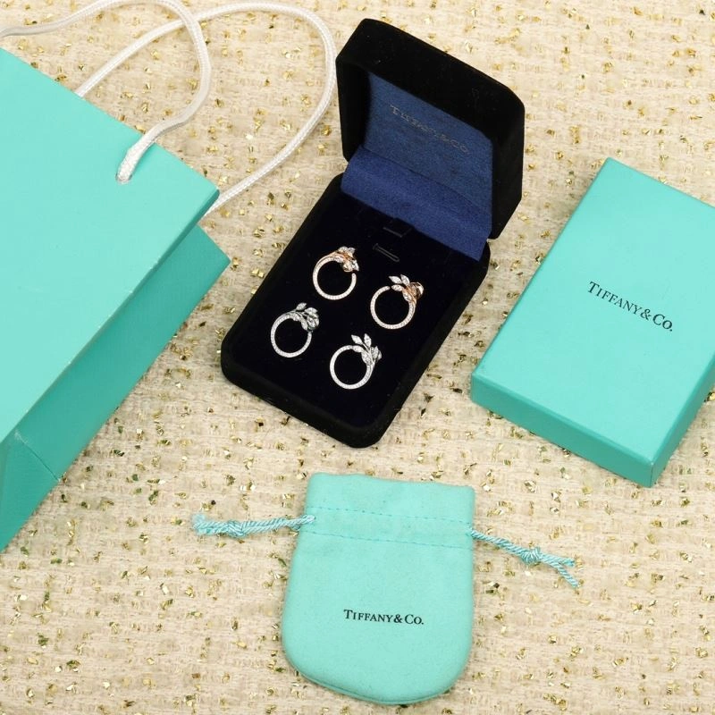 Tiffany Earrings Sustainable 253511