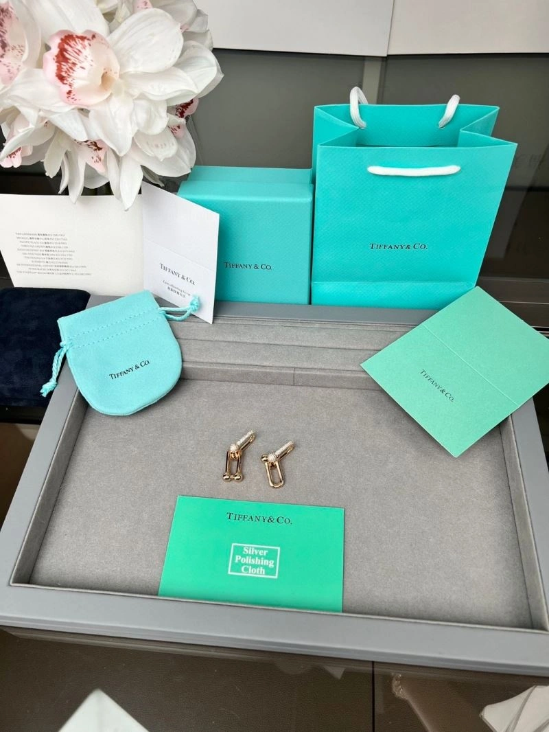 Bold Tiffany Earrings 253397