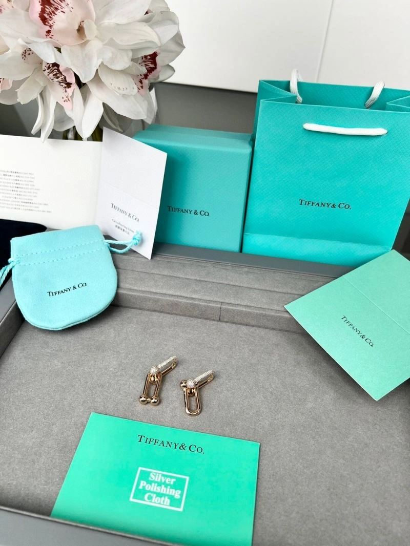Bold Tiffany Earrings 253397