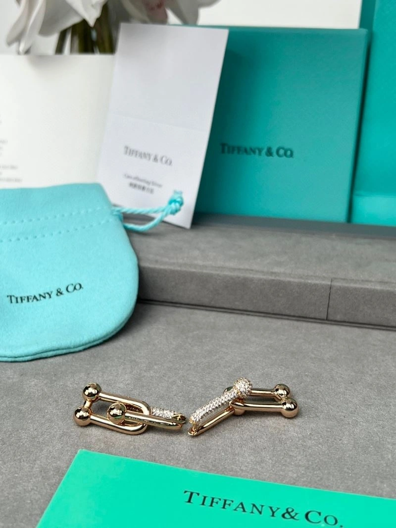 Bold Tiffany Earrings 253397