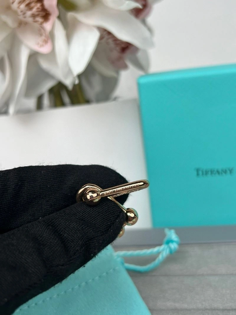 Bold Tiffany Earrings 253397