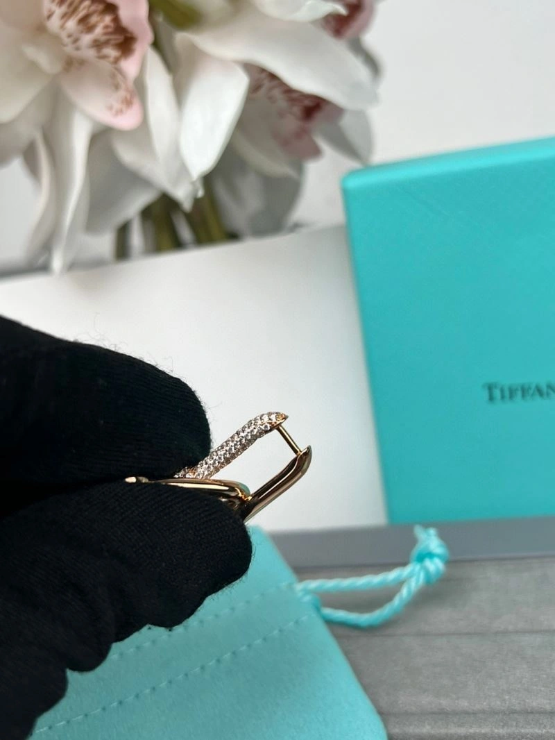 Bold Tiffany Earrings 253397