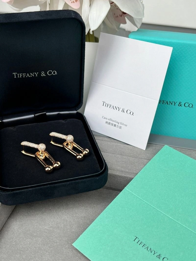 Bold Tiffany Earrings 253397