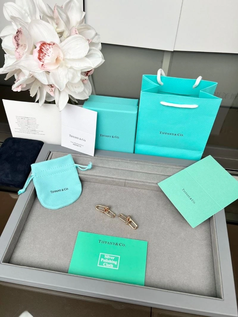 Tiffany Earrings HighQuality 253389