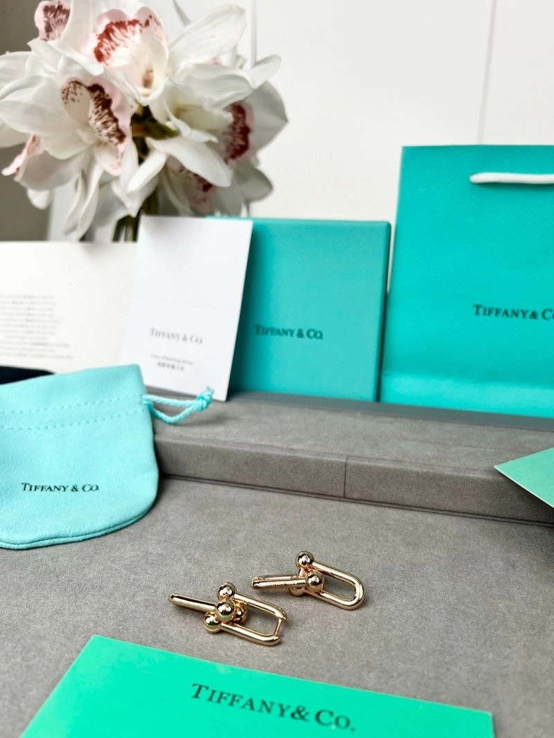 Tiffany Earrings HighQuality 253389