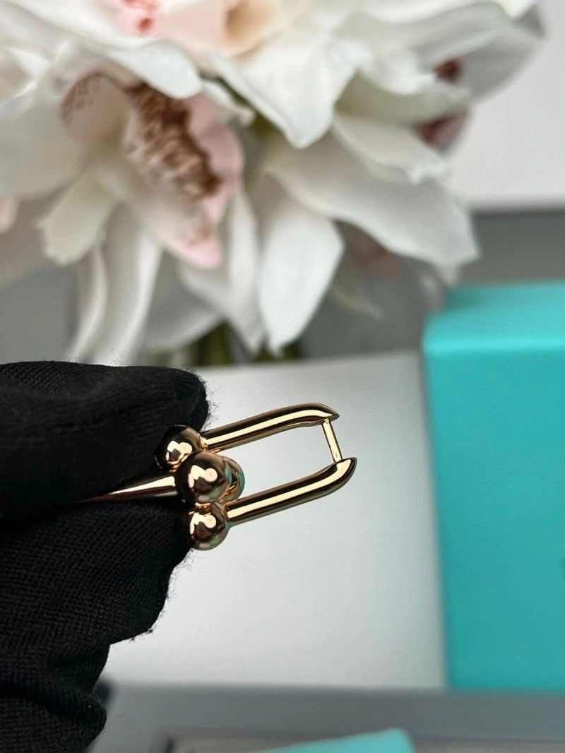 Tiffany Earrings HighQuality 253389