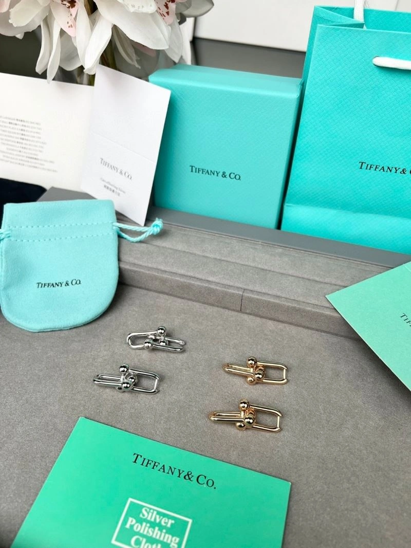 Tiffany Earrings EasyCare 253373