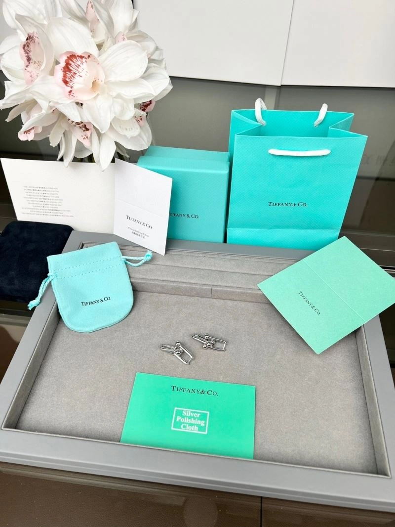 Tiffany Earrings EasyCare 253373
