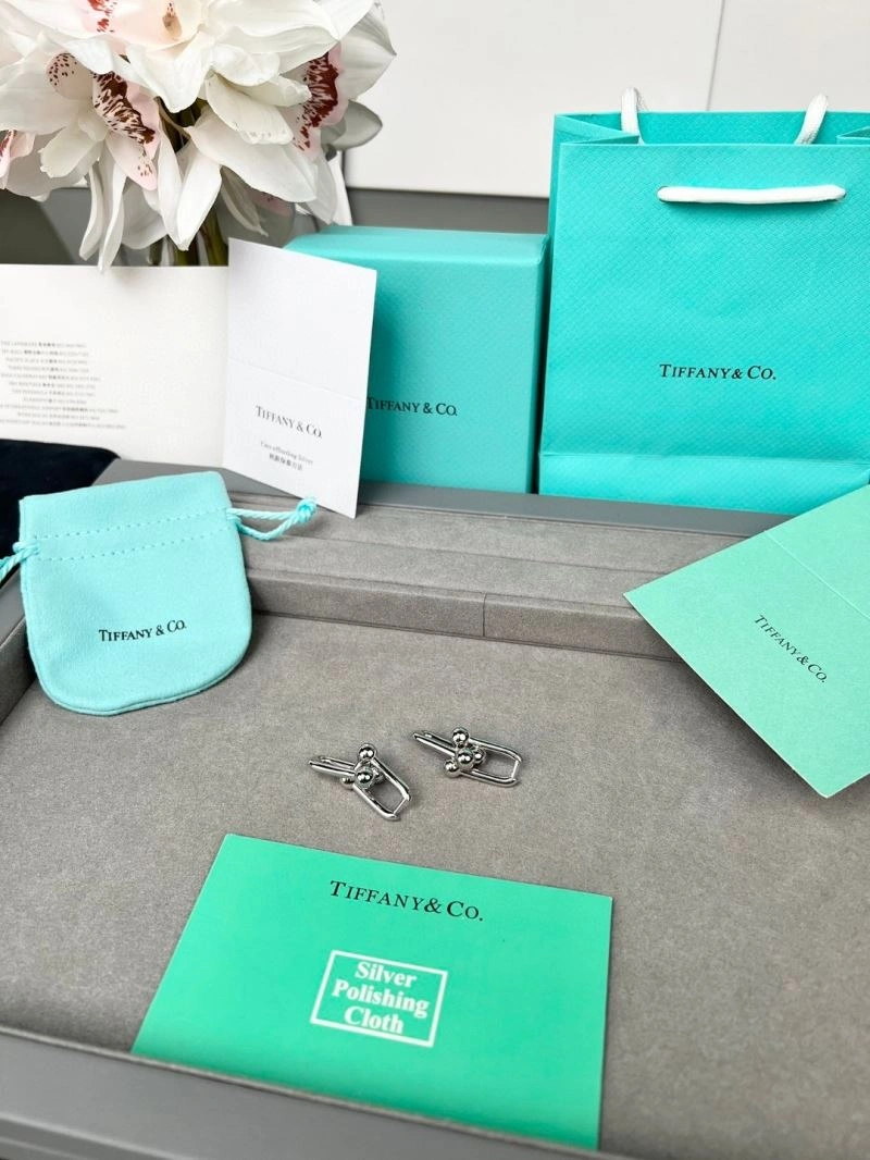 Tiffany Earrings EasyCare 253373