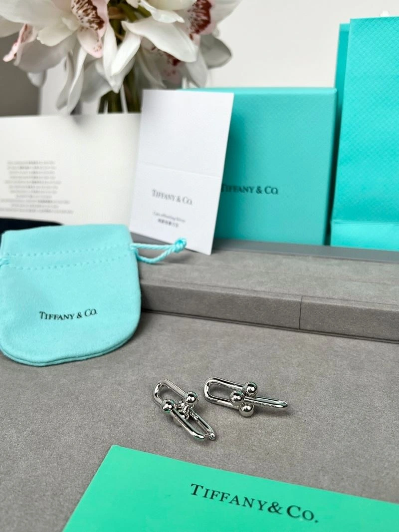 Tiffany Earrings EasyCare 253373