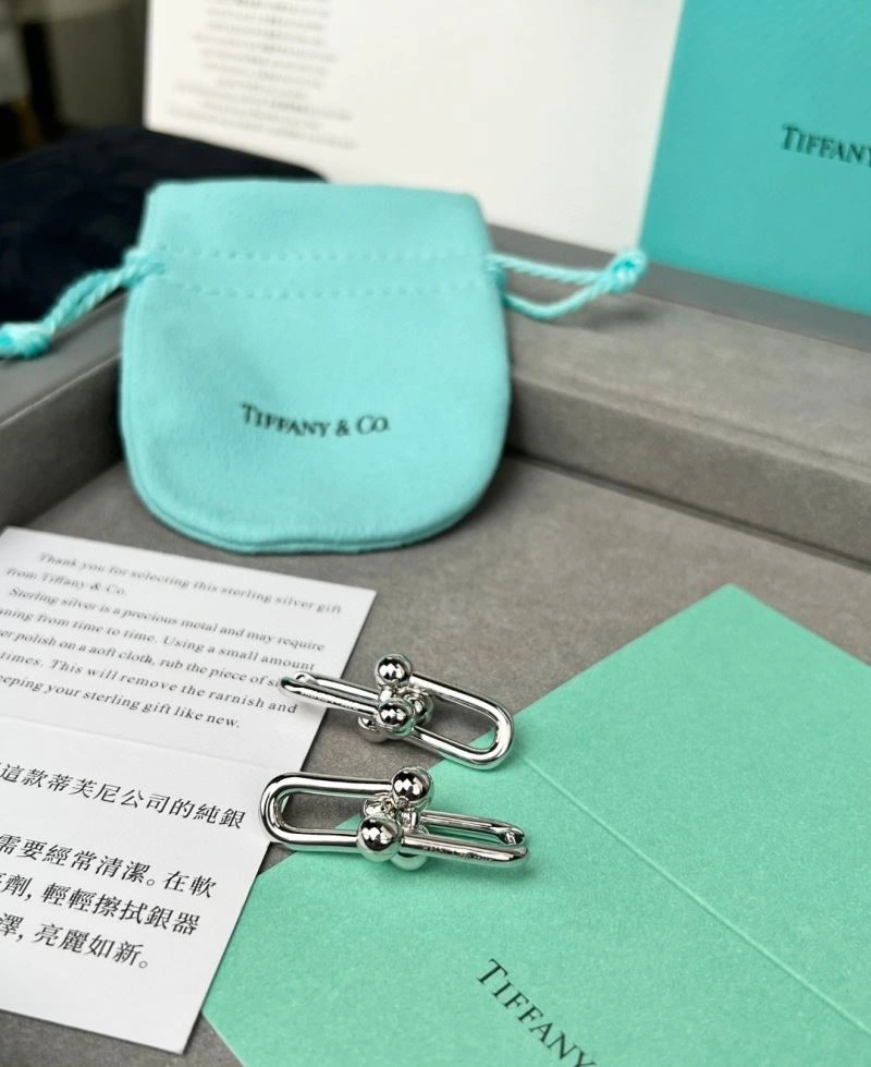 Tiffany Earrings EasyCare 253373
