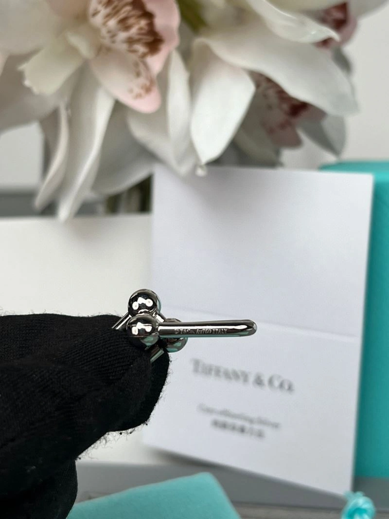 Tiffany Earrings EasyCare 253373