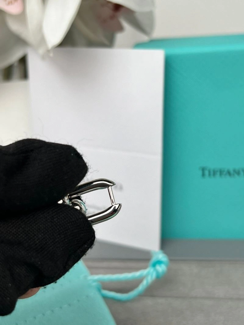 Tiffany Earrings EasyCare 253373