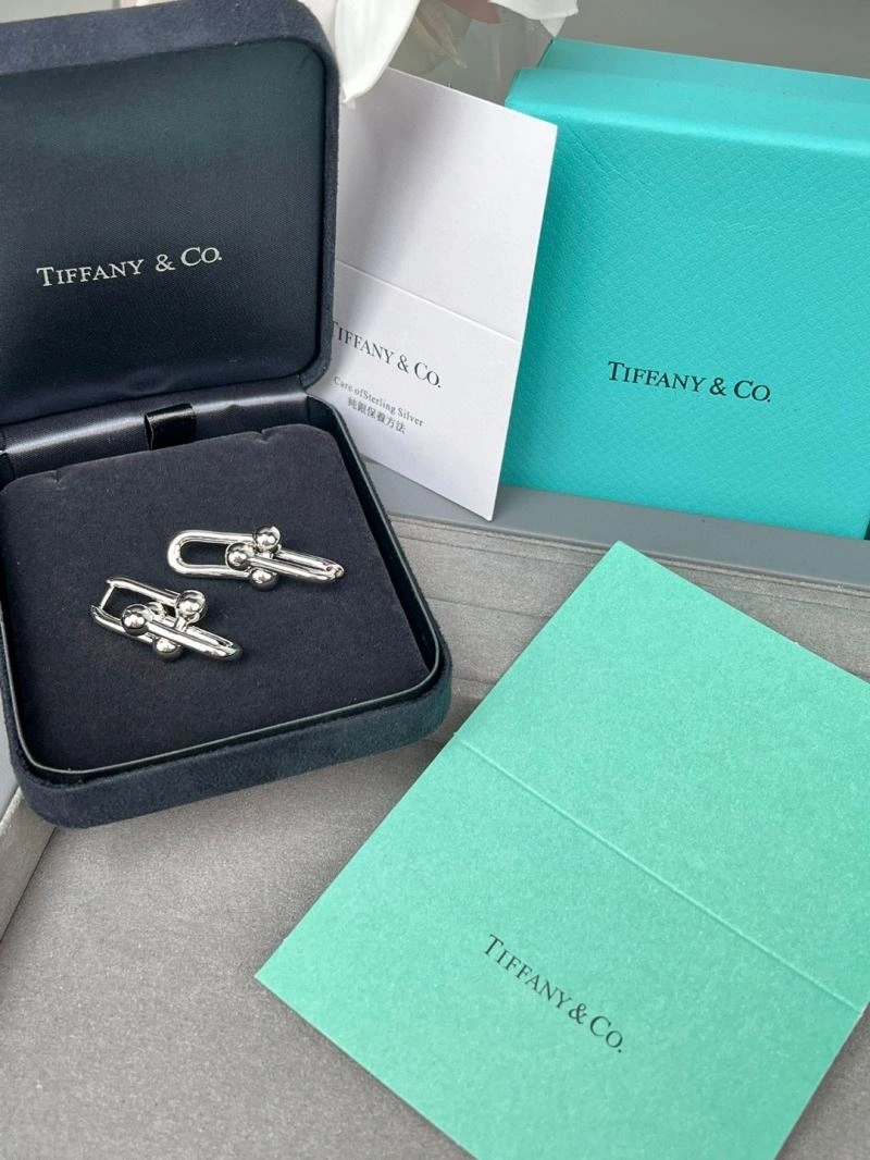Tiffany Earrings EasyCare 253373