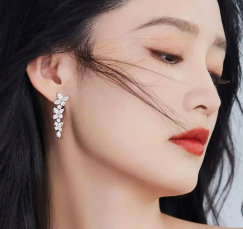 Tiffany Earrings Premium 253368