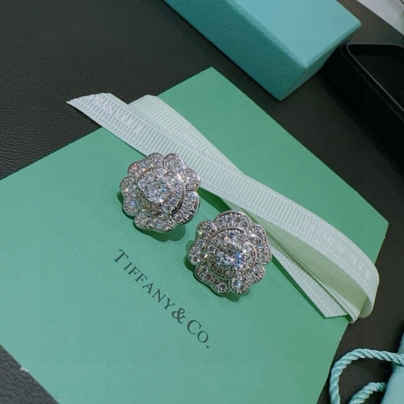 Tiffany Earrings EasyMatch 253209