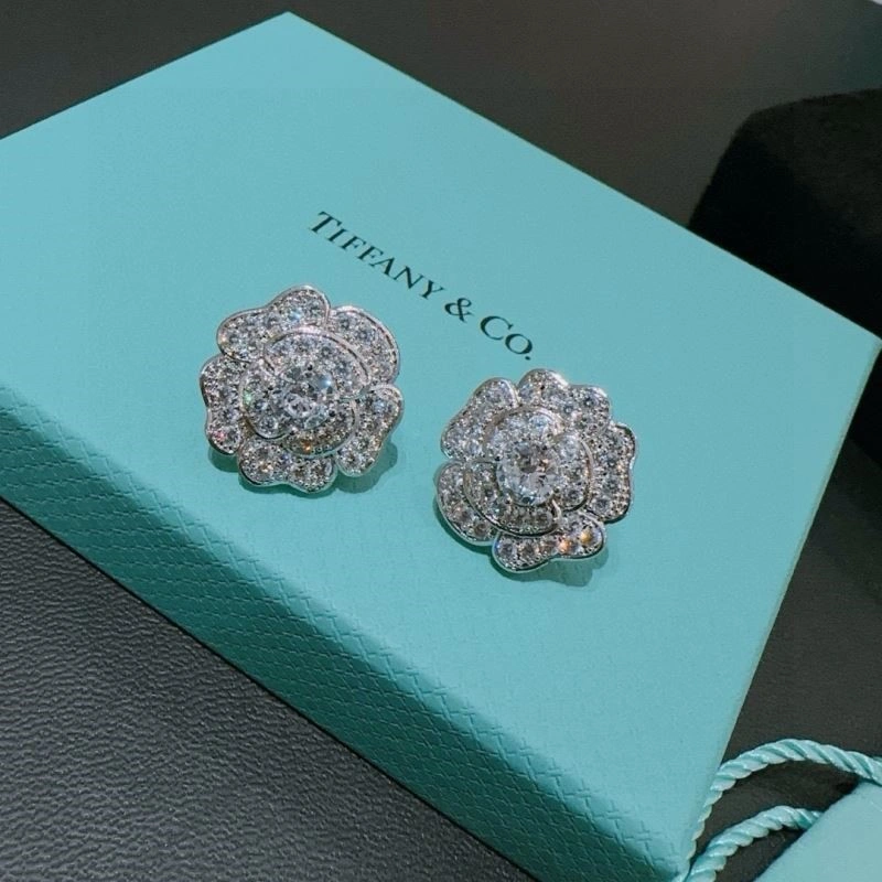 Tiffany Earrings EasyMatch 253209